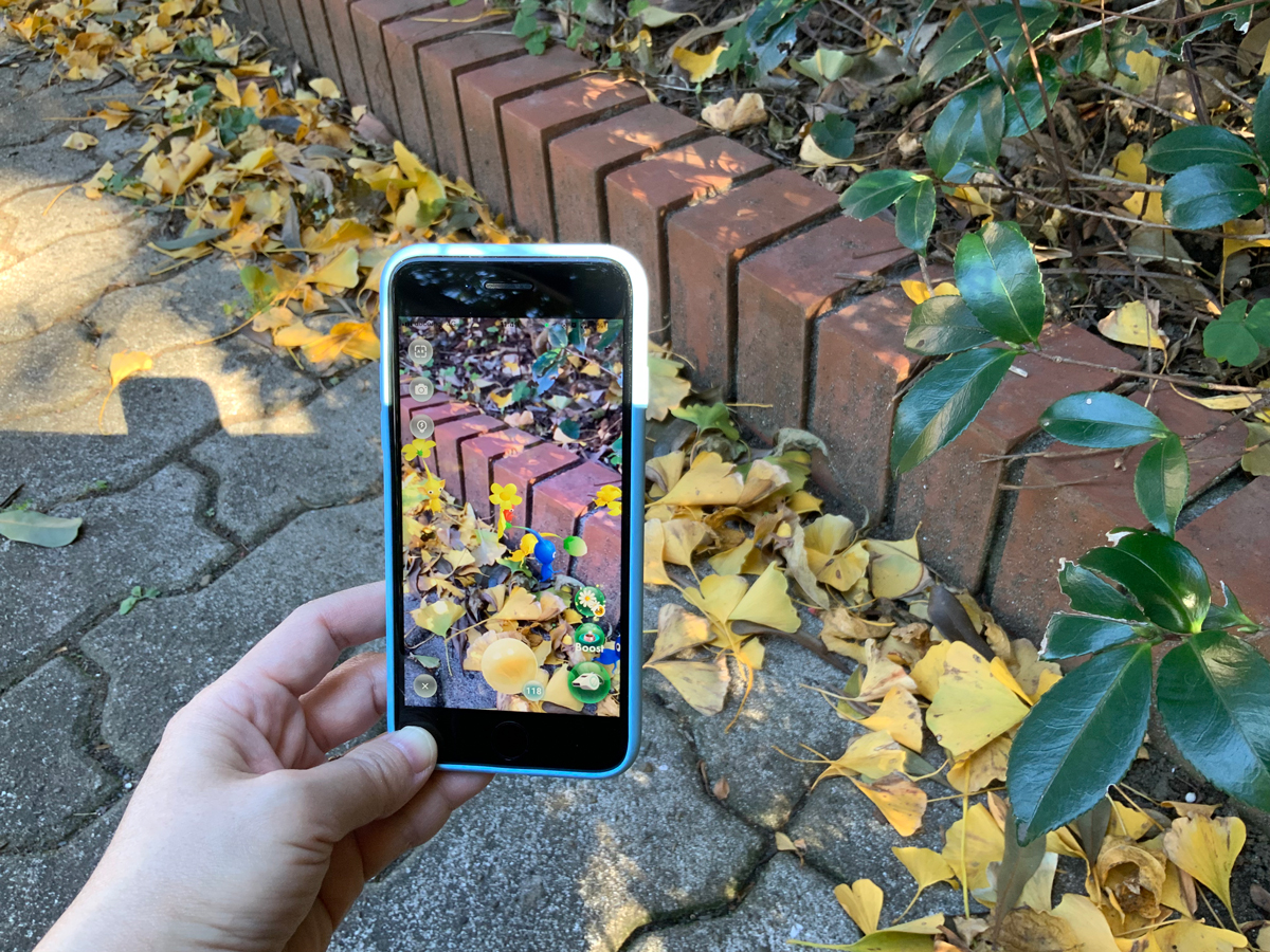 画像alt：ARでピクミンと散歩ができるARモバイルゲーム「Pikmin Bloom（ピクミン ブルーム）」を体験